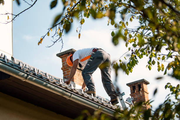 Roof Gutter Cleaning in Pimmit Hills, VA